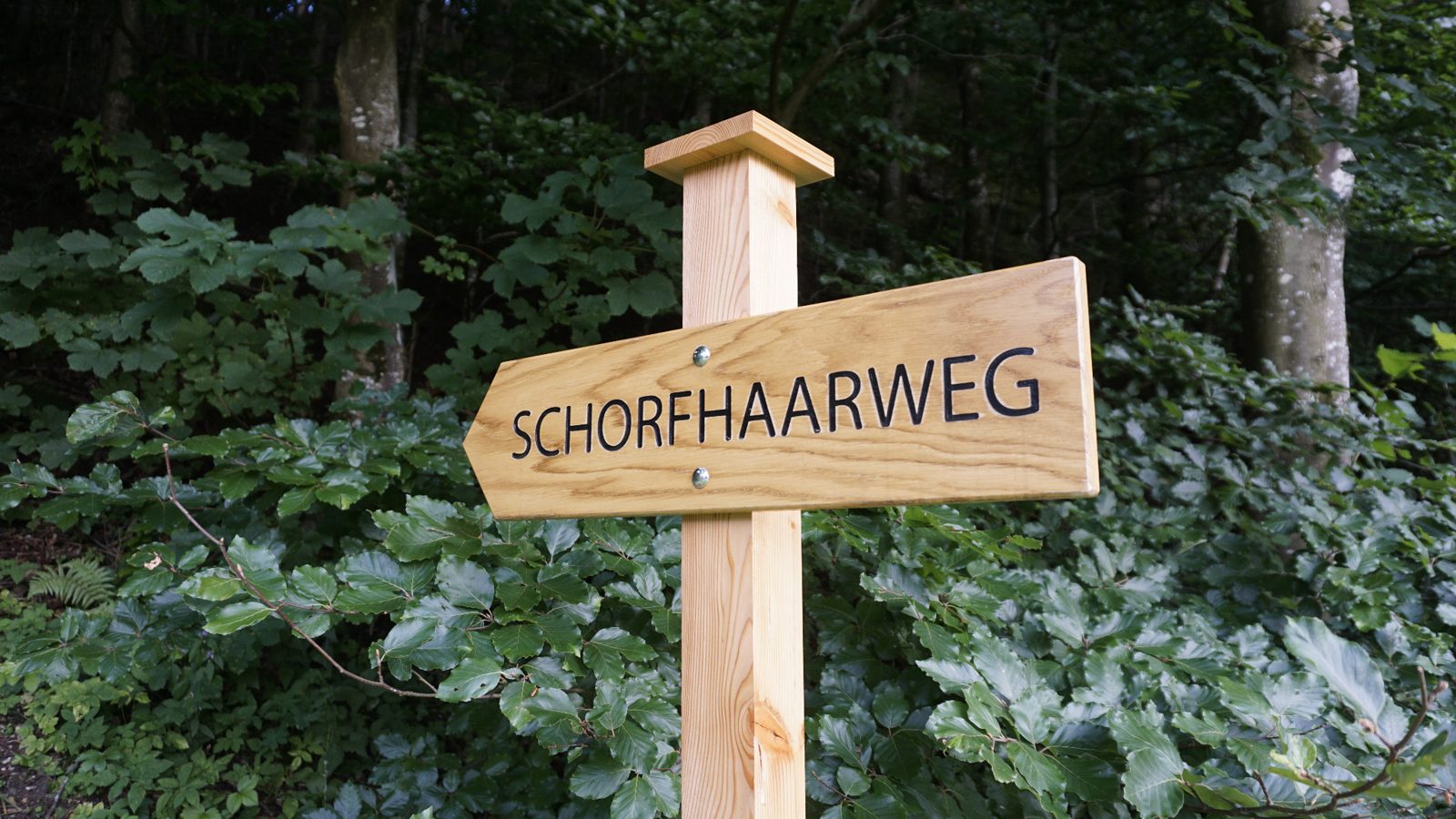 Pfeilförmiges Wegschild Schorfhaarweg im Wald auf hellem Holzpfosten