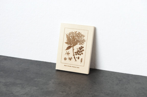 Pflanzenschilder "Botanische Illustrationen"